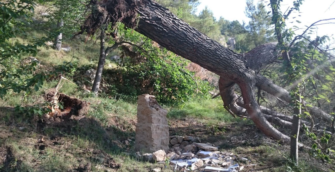 Fuente de San MIguel