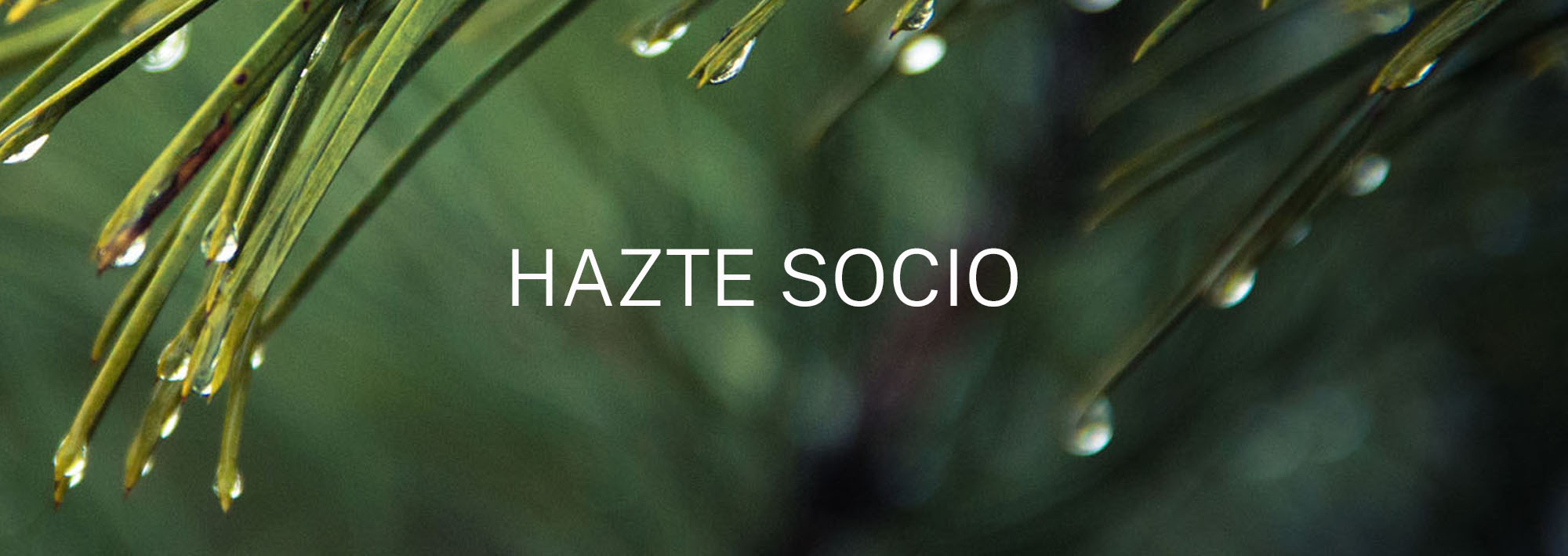 Hazte socio