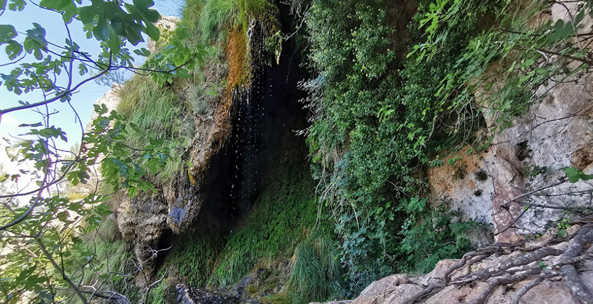 Fuente de la Umbría